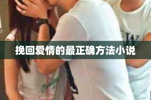 挽回爱情的最正确方法小说