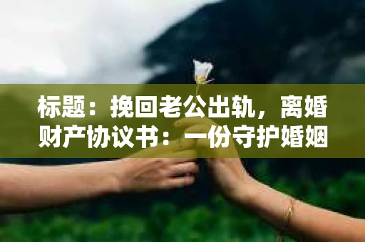 标题：挽回老公出轨，离婚财产协议书：一份守护婚姻与财产的明智选择