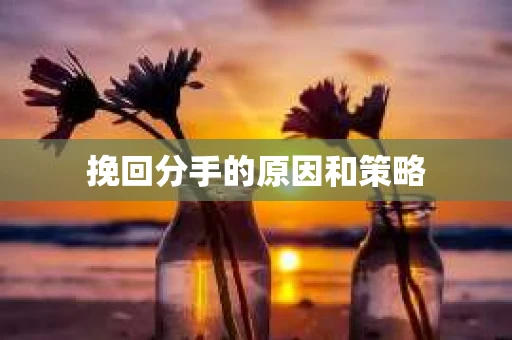 挽回分手的原因和策略