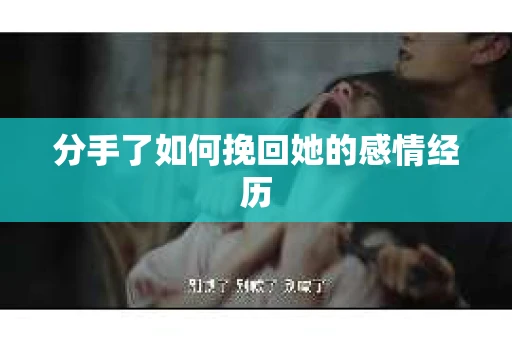 分手了如何挽回她的感情经历