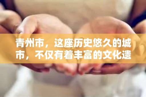 青州市，这座历史悠久的城市，不仅有着丰富的文化遗产，也有着现代生活的便捷。那么，问题来了——青州市有私家侦探公司吗？这个问题，对于需要侦探服务的人来说，无疑至关重要。接下来，我就来为大家揭开这个谜底。