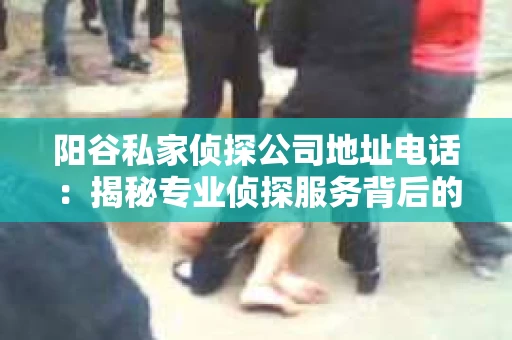 阳谷私家侦探公司地址电话：揭秘专业侦探服务背后的故事