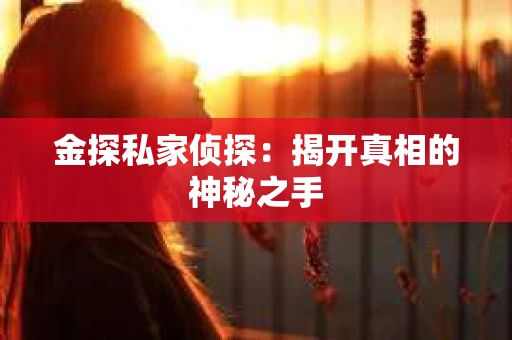 金探私家侦探：揭开真相的神秘之手