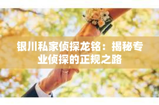 银川私家侦探龙铭：揭秘专业侦探的正规之路