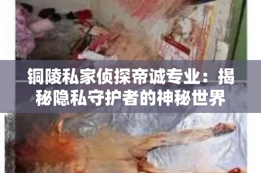 铜陵私家侦探帝诚专业：揭秘隐私守护者的神秘世界