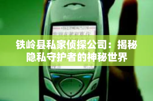 铁岭县私家侦探公司：揭秘隐私守护者的神秘世界
