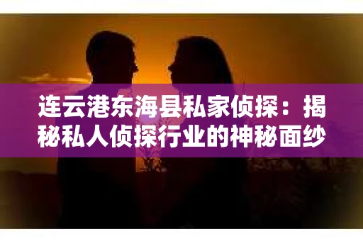连云港东海县私家侦探：揭秘私人侦探行业的神秘面纱