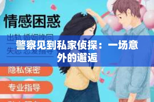 警察见到私家侦探：一场意外的邂逅