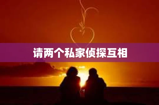 请两个私家侦探互相