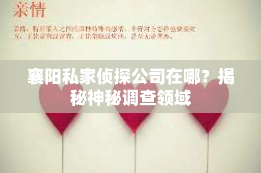 襄阳私家侦探公司在哪？揭秘神秘调查领域