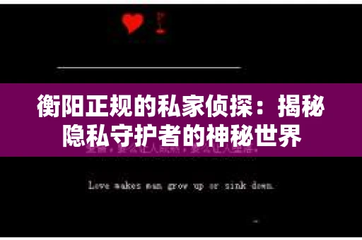 衡阳正规的私家侦探：揭秘隐私守护者的神秘世界