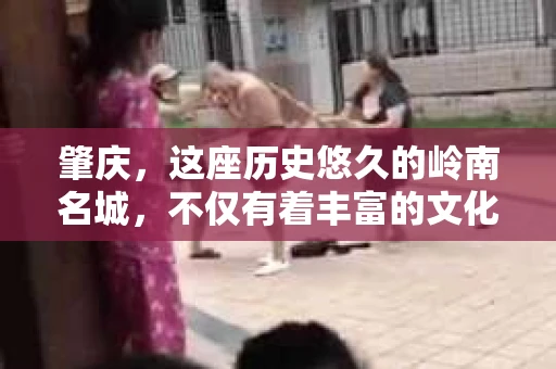 肇庆，这座历史悠久的岭南名城，不仅有着丰富的文化遗产，还有着独特的现代生活节奏。在这个城市里，你是否曾有过需要帮助解决一些棘手问题的时候？或许，你听说过肇庆有私家侦探，那么，他们究竟是怎样的存在呢？