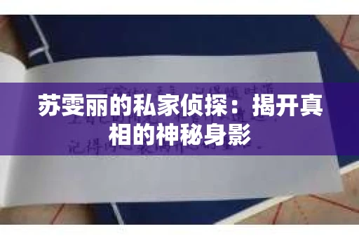 苏雯丽的私家侦探：揭开真相的神秘身影
