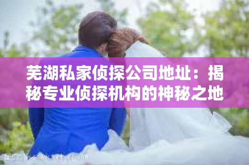 芜湖私家侦探公司地址：揭秘专业侦探机构的神秘之地