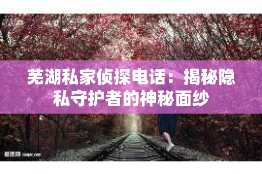 芜湖私家侦探电话：揭秘隐私守护者的神秘面纱