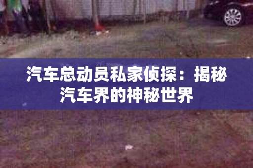 汽车总动员私家侦探：揭秘汽车界的神秘世界