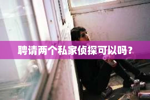 聘请两个私家侦探可以吗？