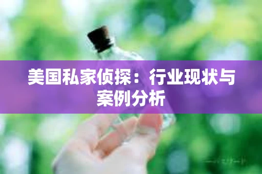 美国私家侦探：行业现状与案例分析