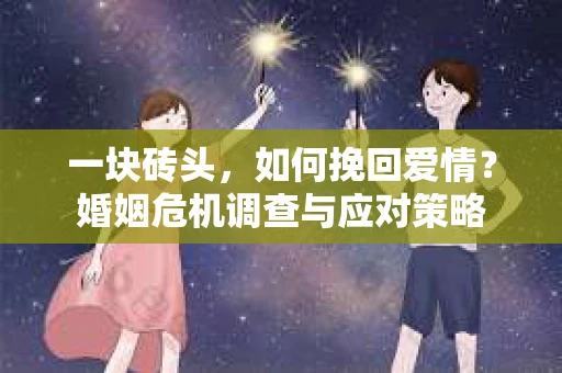 一块砖头，如何挽回爱情？婚姻危机调查与应对策略