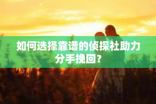 如何选择靠谱的侦探社助力分手挽回？