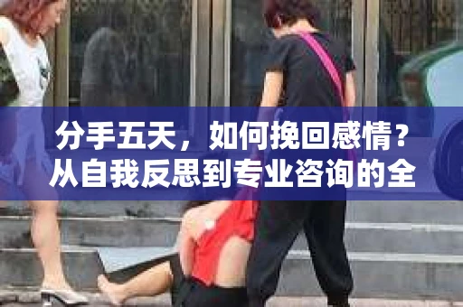 分手五天，如何挽回感情？从自我反思到专业咨询的全面解决方案