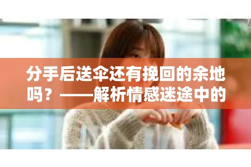 分手后送伞还有挽回的余地吗？——解析情感迷途中的决策