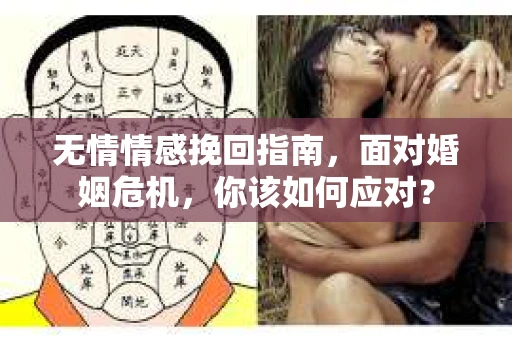 无情情感挽回指南，面对婚姻危机，你该如何应对？