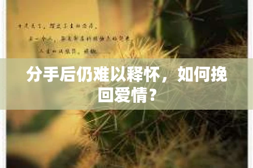 分手后仍难以释怀，如何挽回爱情？