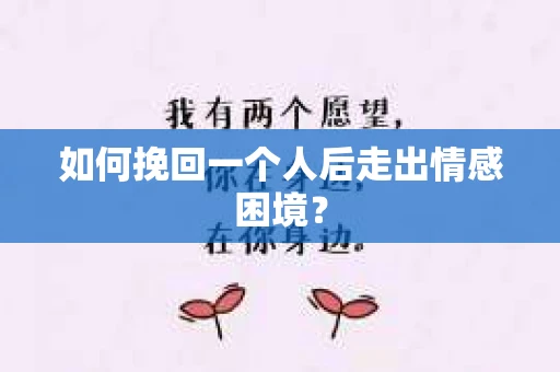 如何挽回一个人后走出情感困境？